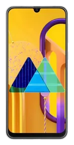 Samsung Galaxy M30s