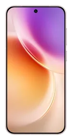 Vivo X300